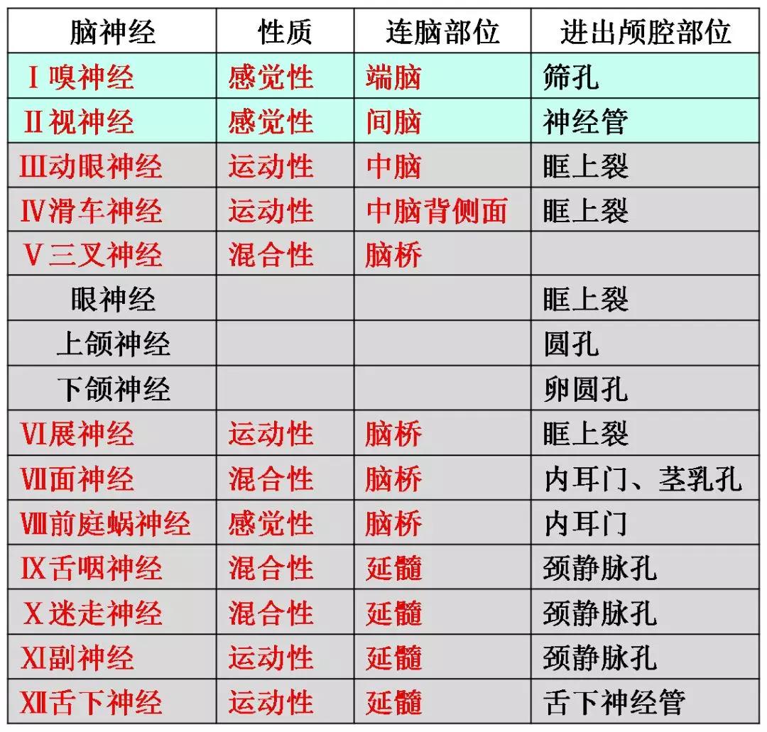 周圍神經腦神經圖譜以及思維導圖