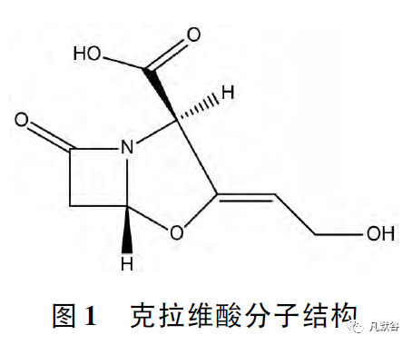 ① 以克拉维酸化学结构为依据( 见图1) ,利用admet predictor 软件