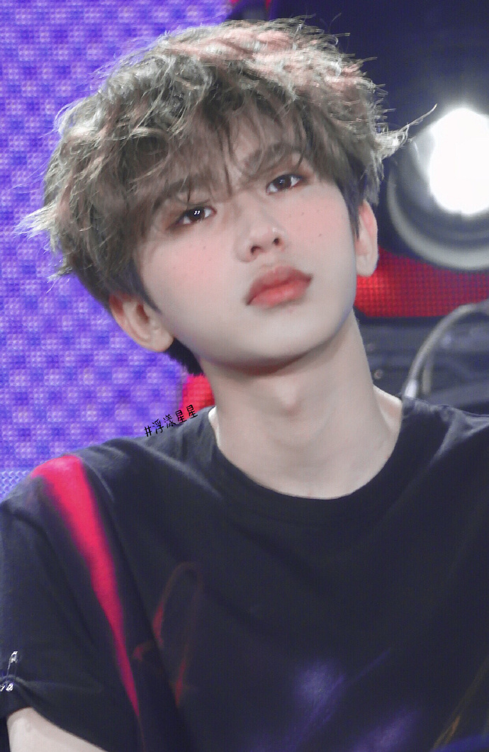 今日份赏葵时间到 圆滚滚肉嘟嘟猪咪世最可!_坤坤