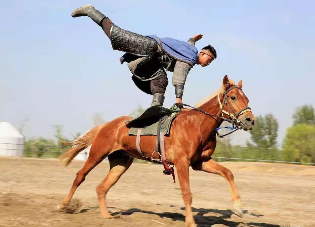飞马倒立等马上特技表演,结合惊险刺激的马踏飞燕,表演中采用了震撼的