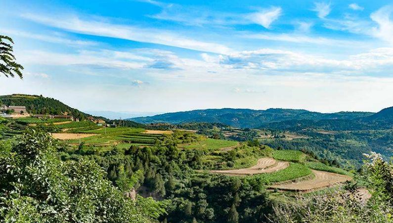 大东沟不同凡响