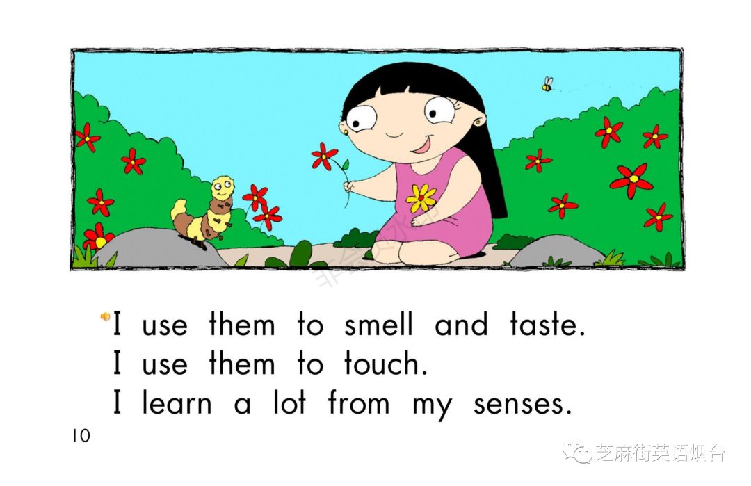 绘本故事《senses》