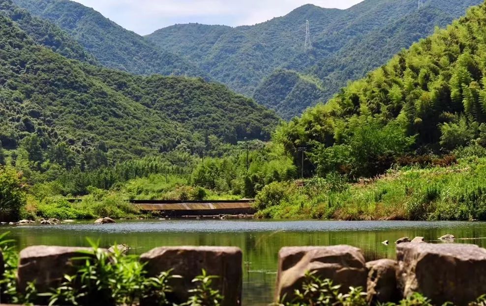 团建定制山林静峰杏林湾森林私宴bbq团建篝火私房菜