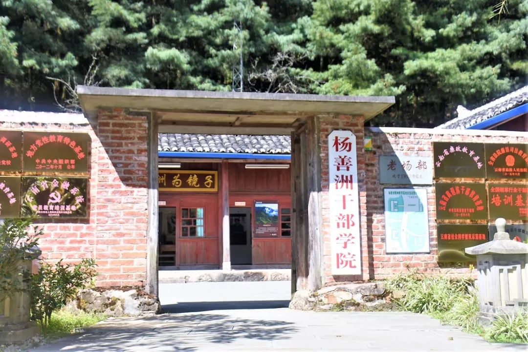 善洲林场忆初心砥砺前行坚信念我校组织党员教师到善洲林场参观学习