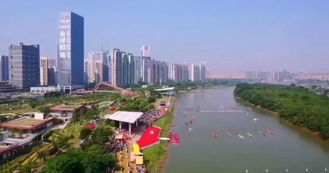 67国家级专业巅峰龙舟赛事11月开桡42支猛龙决战佛山