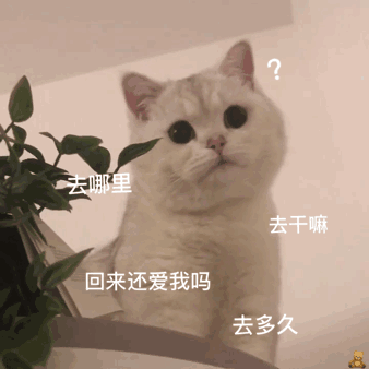 是哪?"你在一个神秘的古堡中醒来,却全然不记得之前发生的事.