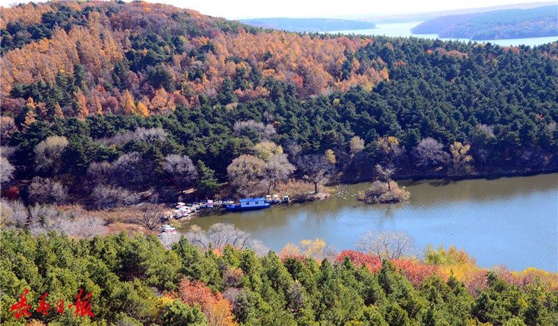 百 木 园位置:前进大街与蔚山路交会处.