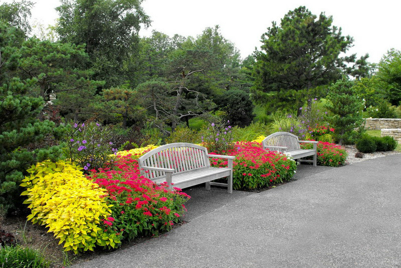 镜头下的花镜实景醉美绽放