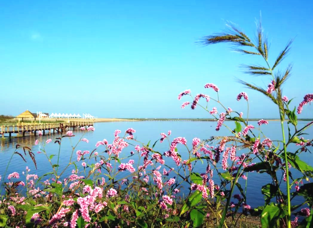 中国旅游景区大全之呼兰河口湿地公园