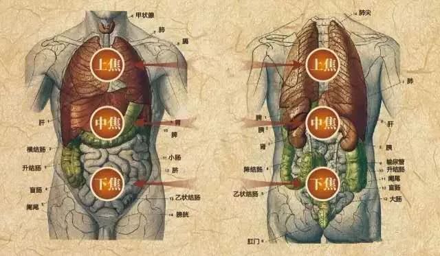 灸透它,便秘,黄褐斑,痛经统统不见