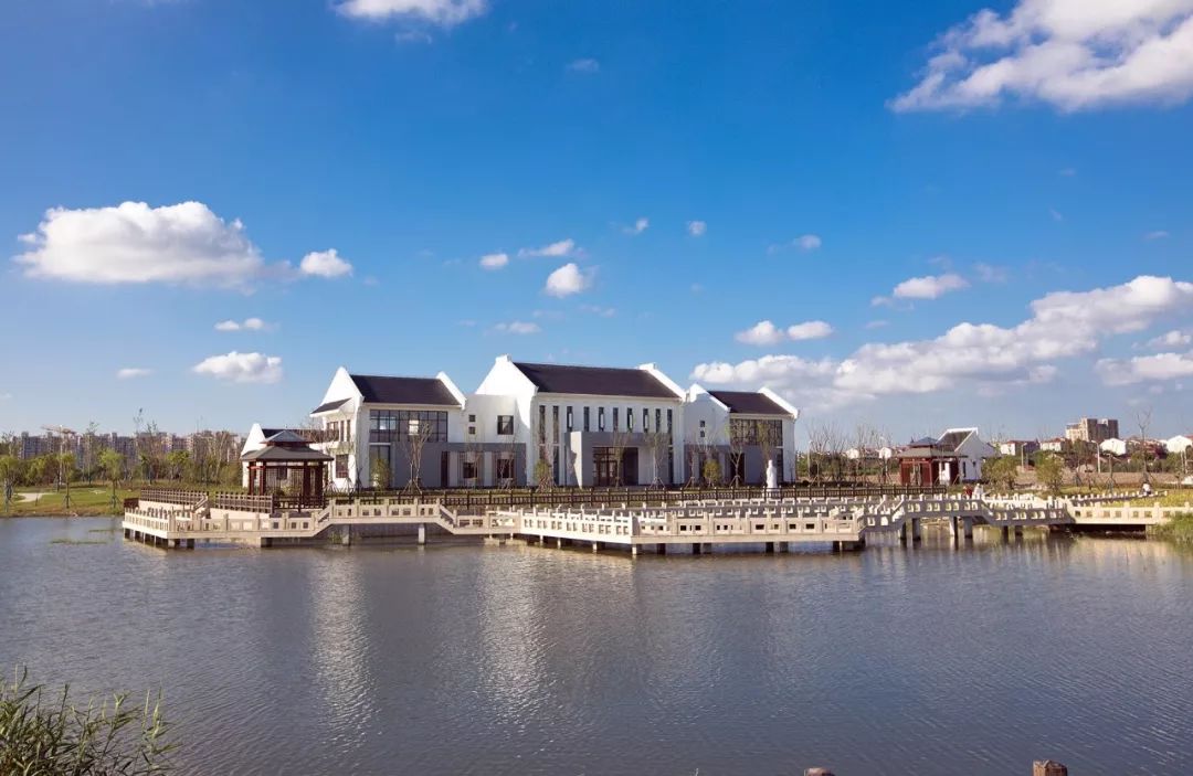 乡村振兴作为自贸区建设的重要内容,金汇镇也一直是"想在前头,走在前