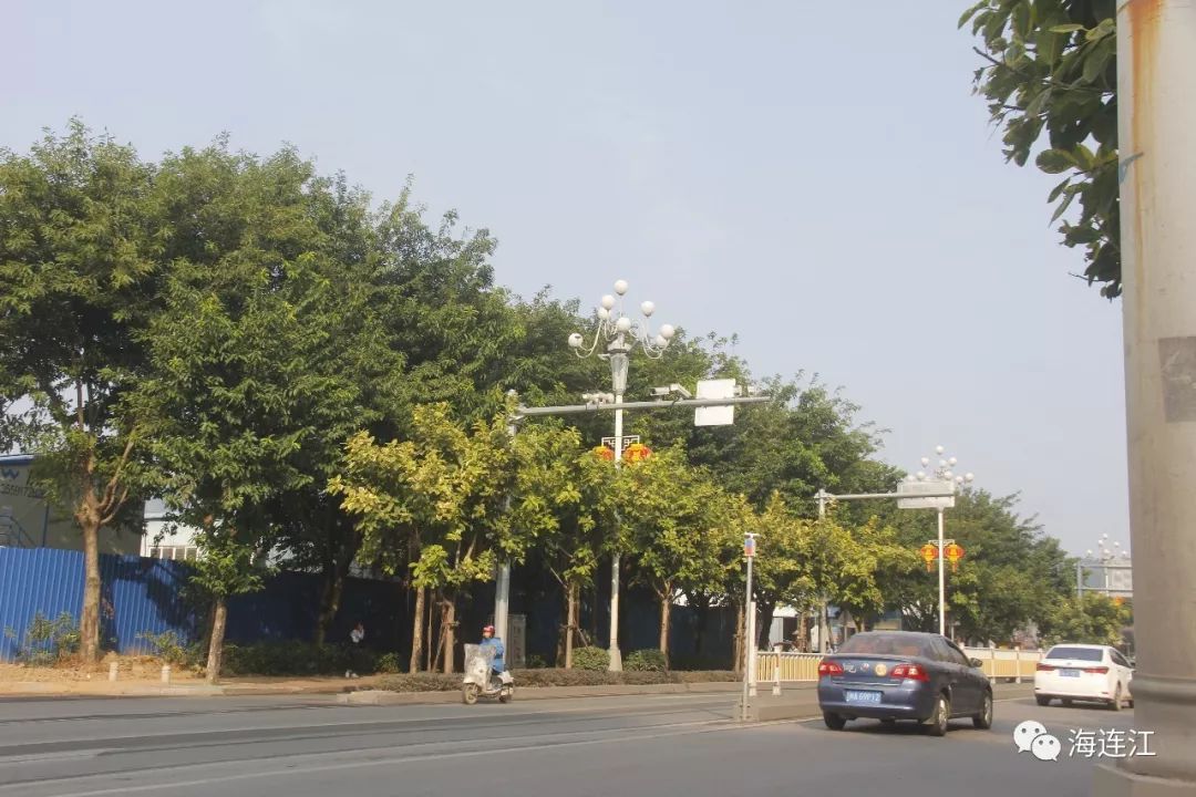 11个探头点位全景呈现下月起连江全天候抓拍