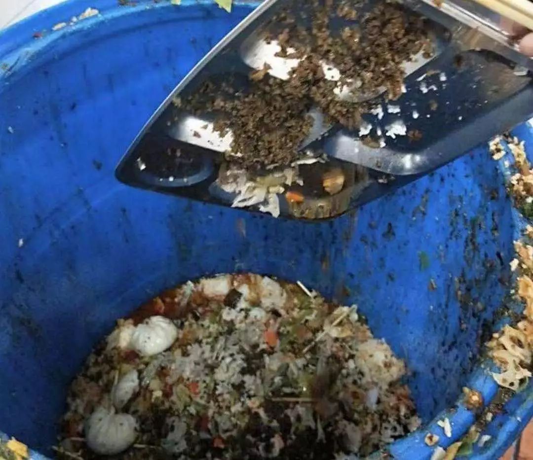 据食堂的经理反馈,光食堂一天的泔水就达到7000斤之多,这些数据是触目