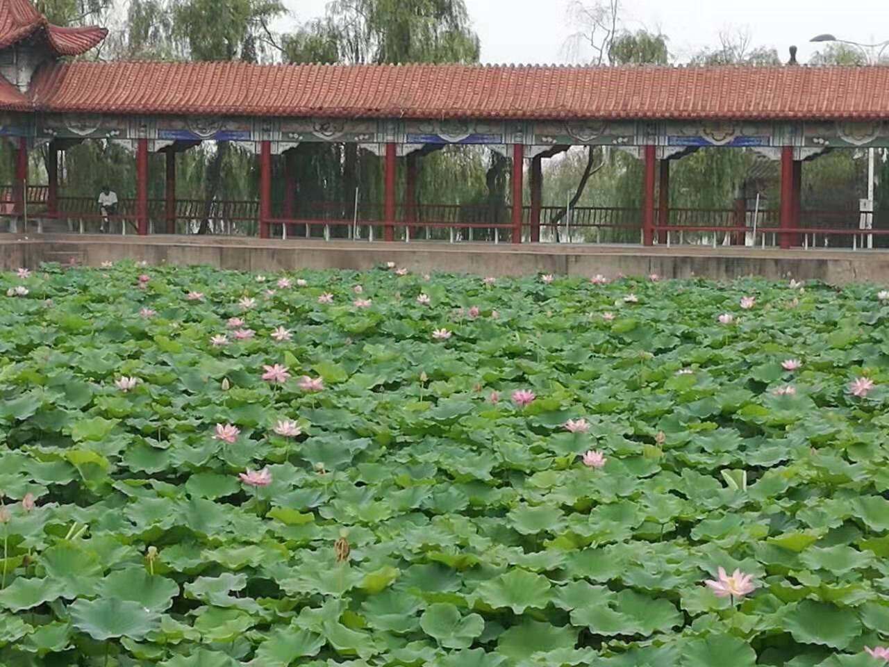 登封白沙湖文惠山莊,戶外拓展,會議接待,餐飲住宿,休閒娛樂_一體