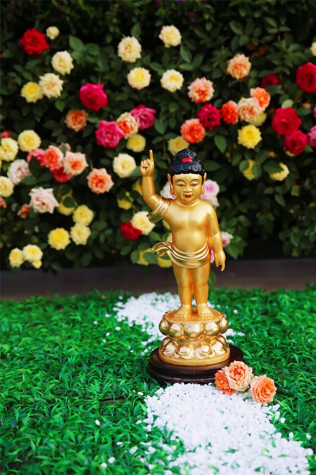 花与佛教有哪些联系,佛前为何需要供花?_佛陀