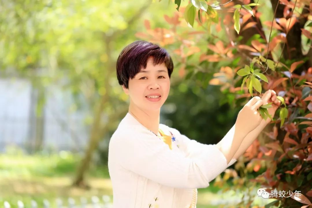 春风化雨,润泽心灵——腾蛟镇第一小学陈丽琴老师腾蛟镇第一小学语文