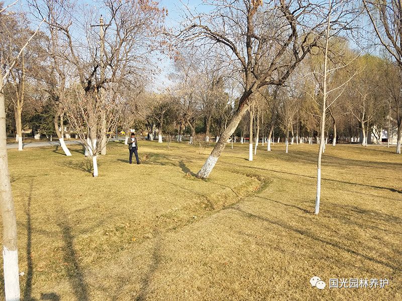 【國光微講堂】冬季草坪養護管理要點