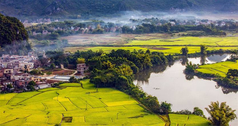 明黄黄的油菜花田广西上林出行攻略
