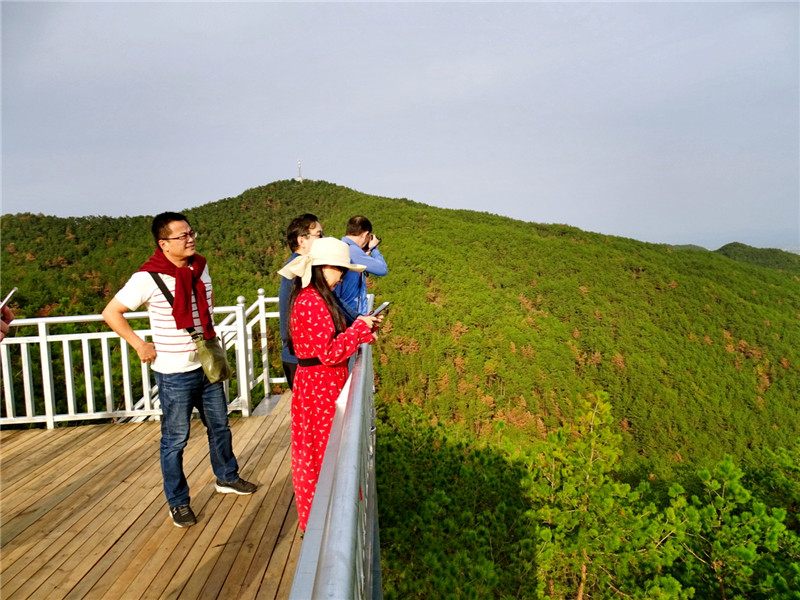 媒體名人網絡大咖走進五腦山國家森林公園