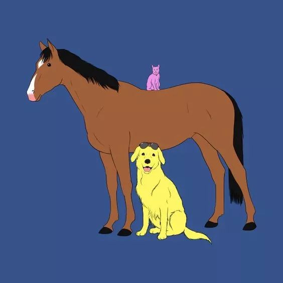 再见马男波杰克