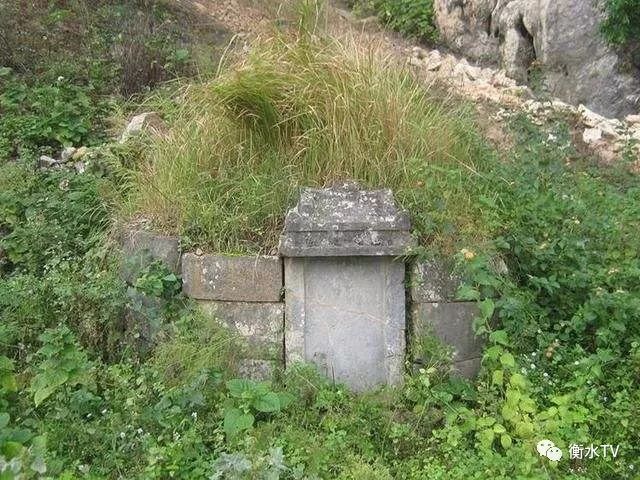 民政部土葬區遺體深埋等生態葬法將納入綠色安葬獎補範圍