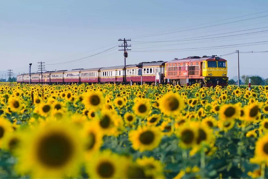 再現千與千尋夢幻奇觀泰國一年只開放18天的水上火車開列啦