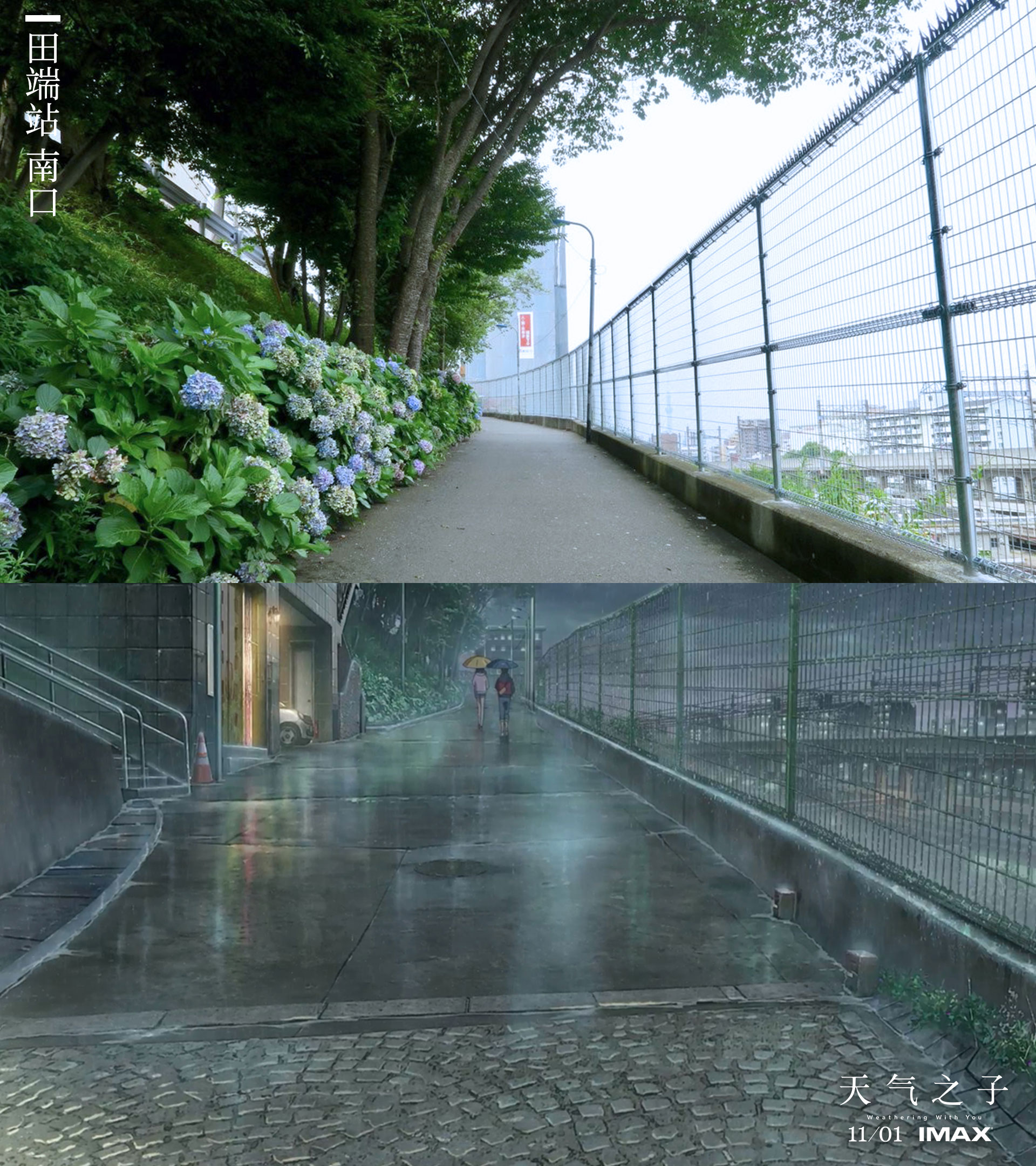 天气之子主题曲mv看哭每个追梦年轻人预售开启