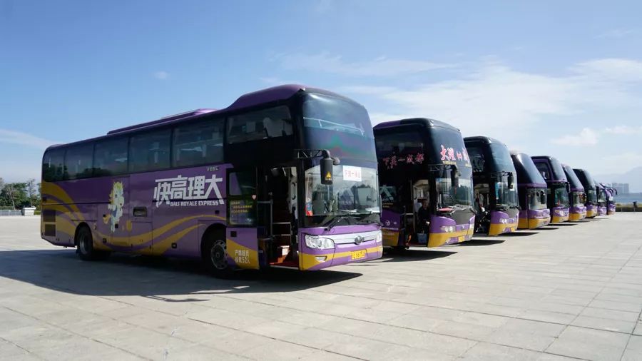 专车服务大理至宾川新庄红军村红色基地直通车来啦