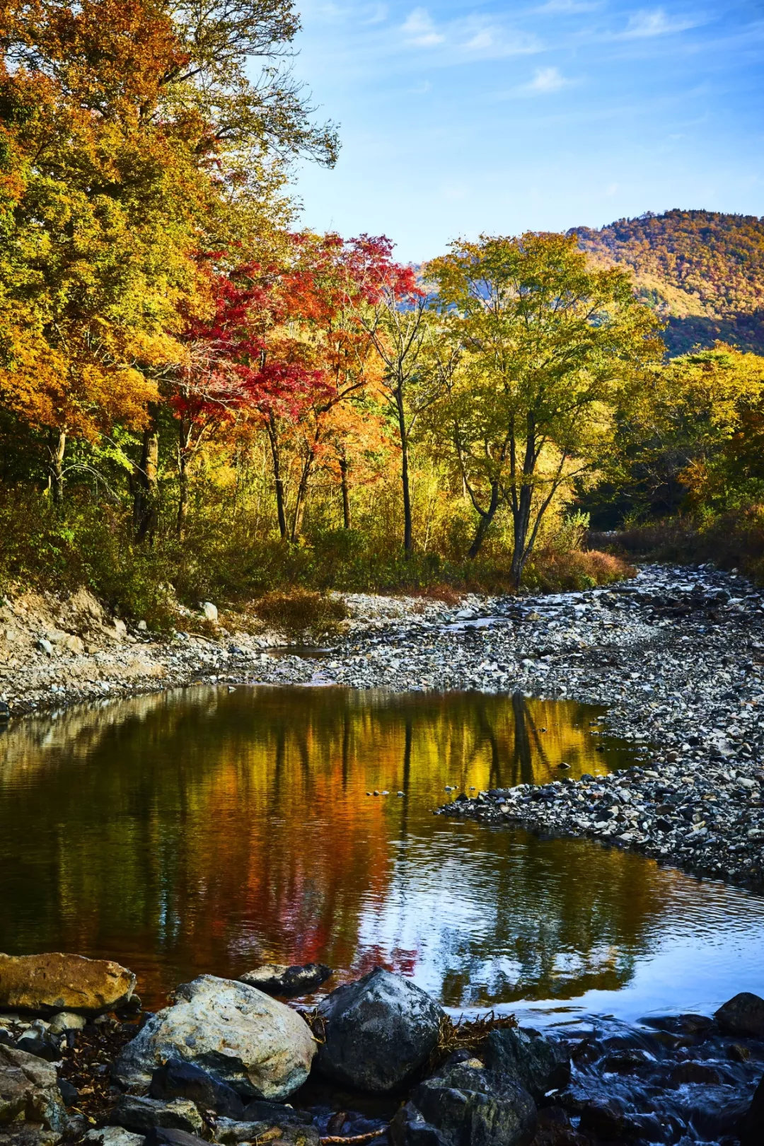 白桦点红"一江秀水,百里桦林,千顷湿地,万山红叶"是对桦甸旅游资源