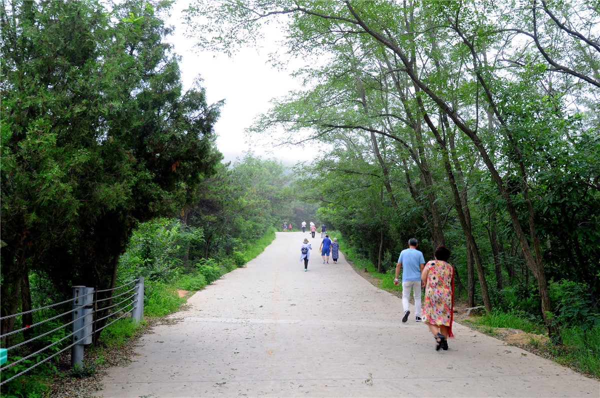 能夠預報天氣的首山國家森林公園