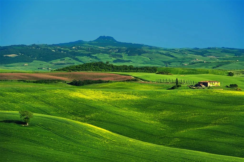 20首能听醉的的草原纯音乐赶快收藏吧