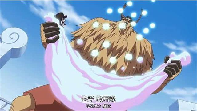 的还是无意的,乔巴居然能够捕捉到自然系的能力者凯撒,瓦斯果实的凯撒