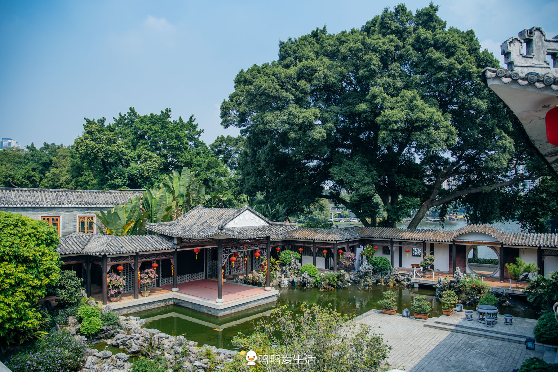 原创西关印象一日看尽百年繁华变迁千年兴衰往事