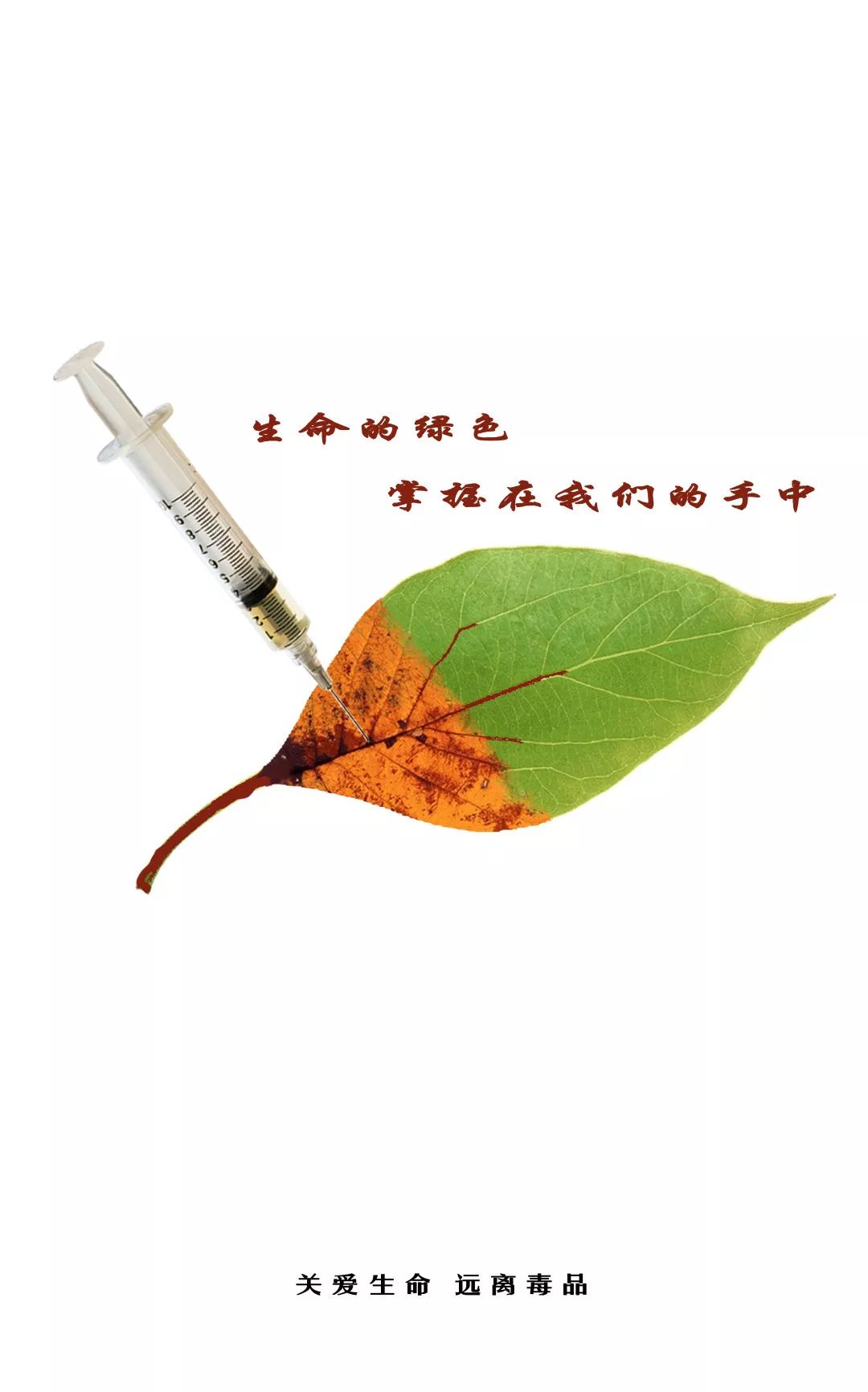 同谱禁毒和谐曲,共筑幸福中国梦_戒毒