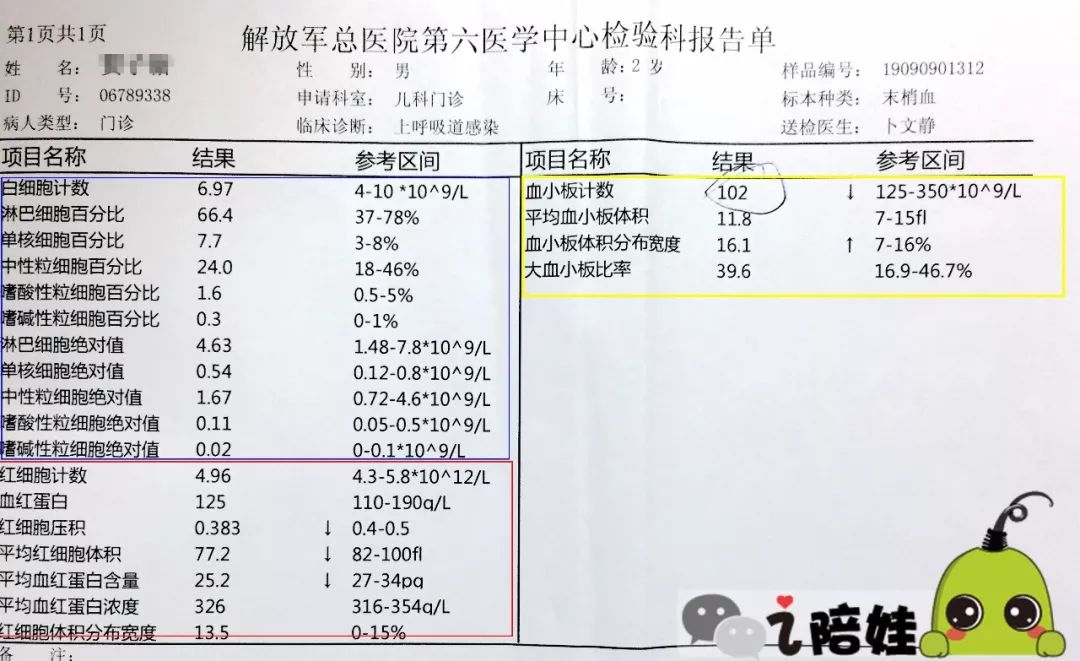 娃的感冒多发季不焦虑教你1分钟看懂血常规化验单