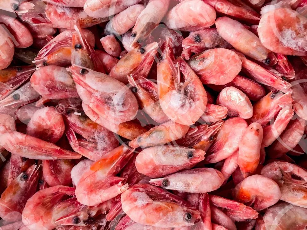 阿拉斯加玫瑰虾图片