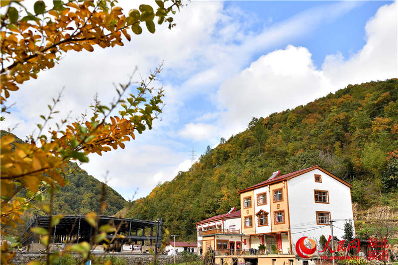 图为10月23日拍摄的湖北省保康县龙坪镇龙坪村民宿.