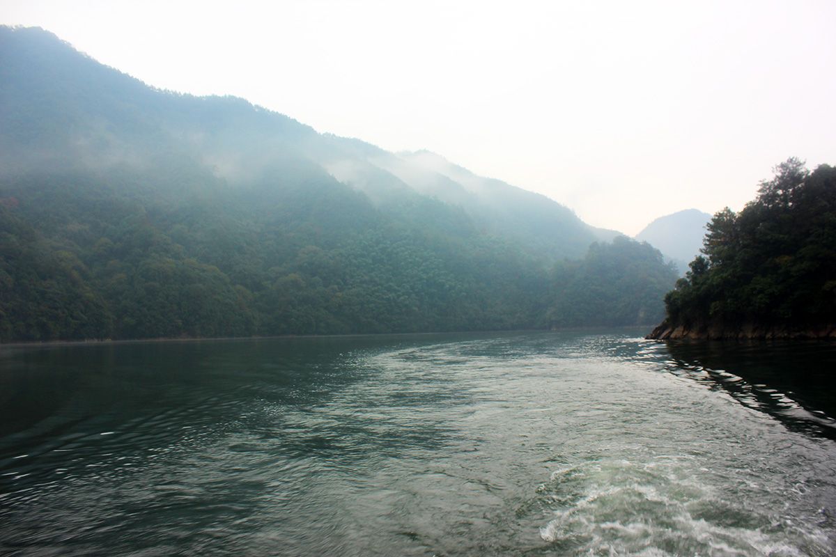 西施故里五泄湖将放干会有多大的鱼