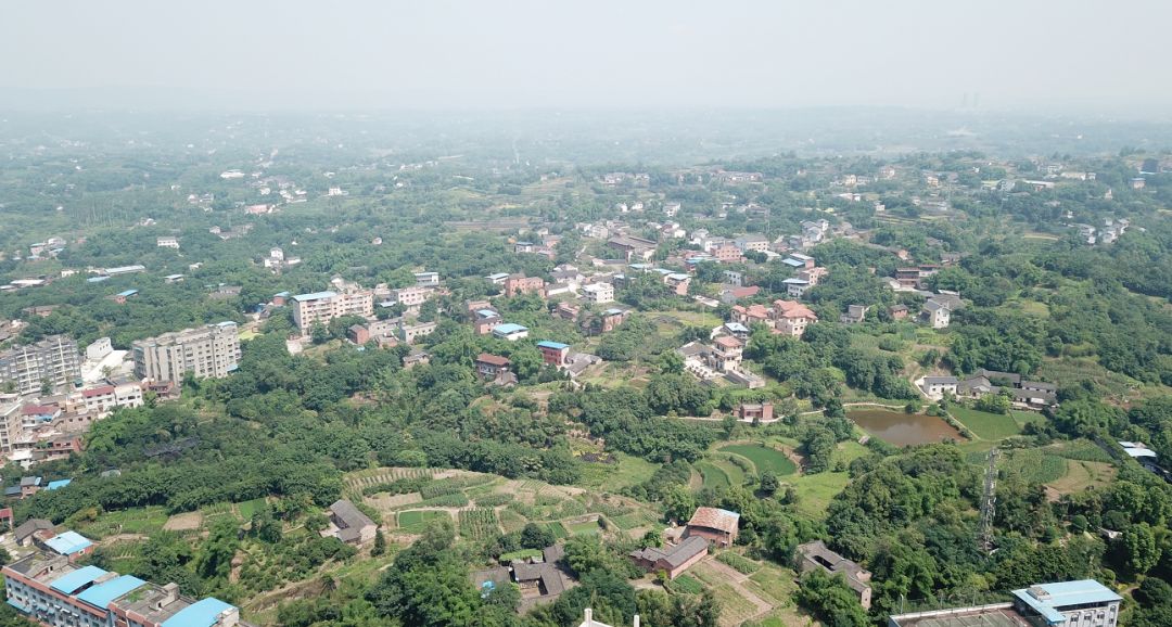 我在璧山我叫丁家