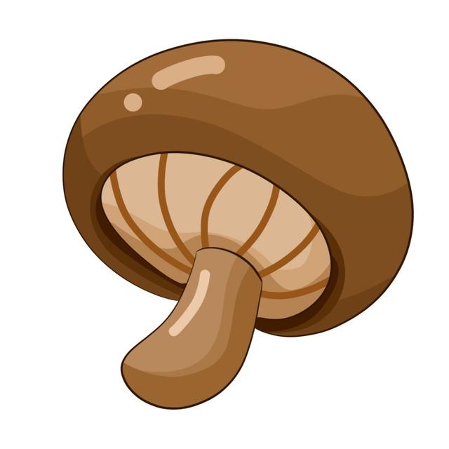 心心念念的雁来蕈上市啦