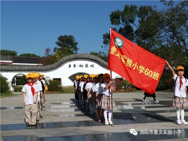 浏阳奎文小学图片