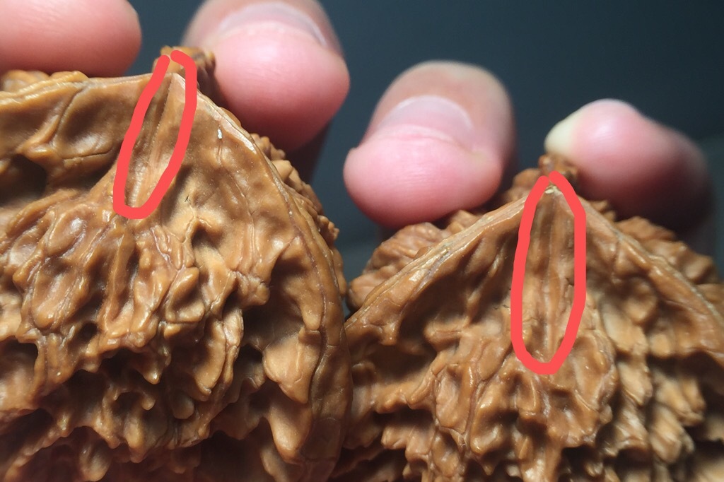 文玩核桃中的“大奔”介绍与真假鉴定方法_搜狐网