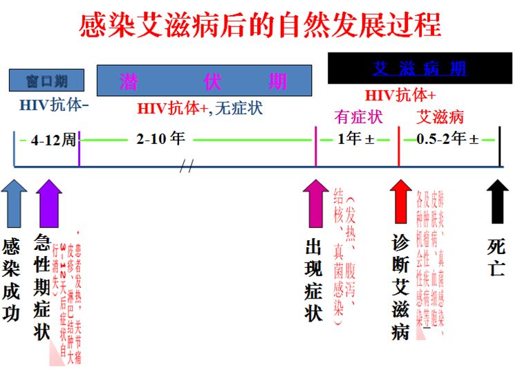 关于艾滋病窗口期那些事二