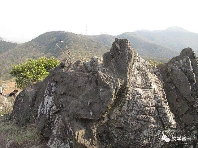 新华虎头山传奇