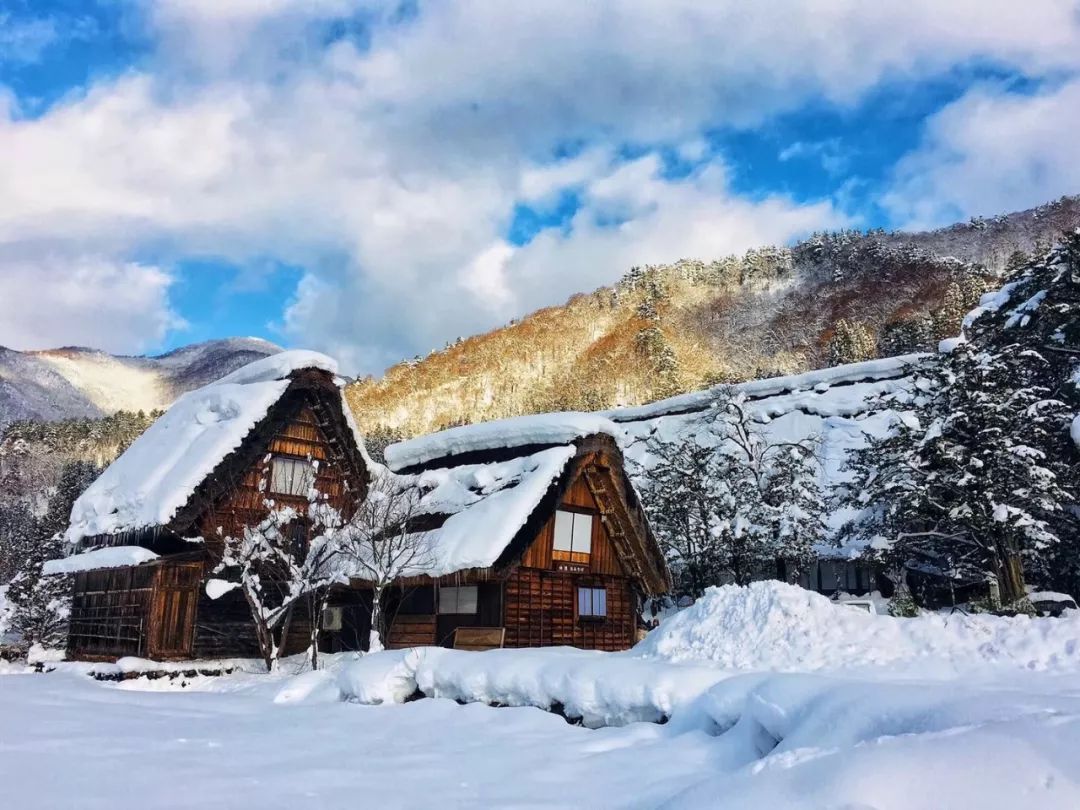 可能是2020年日本最美的冬雪场景!|寒假去哪里_白川乡