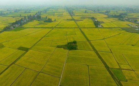 2020年国家公务员考试常识积累:我国三大平原【山东博学教育】