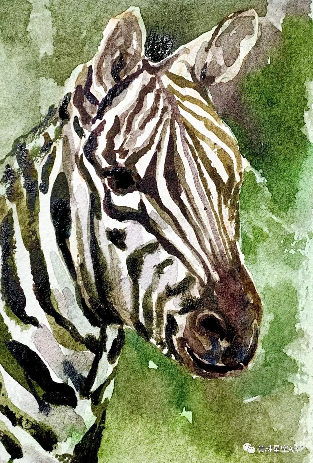 教程黑白条纹的水彩斑马打开进入动物园