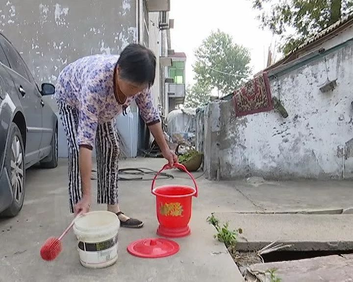 十大孝星展播王秀凤国强村的大名人