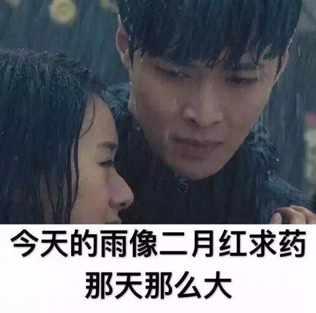 二月红求药下雨图片图片