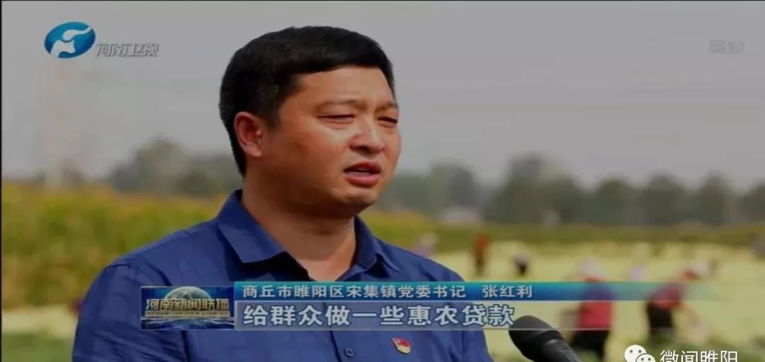 媒体聚焦河南新闻联播商丘花开致富路